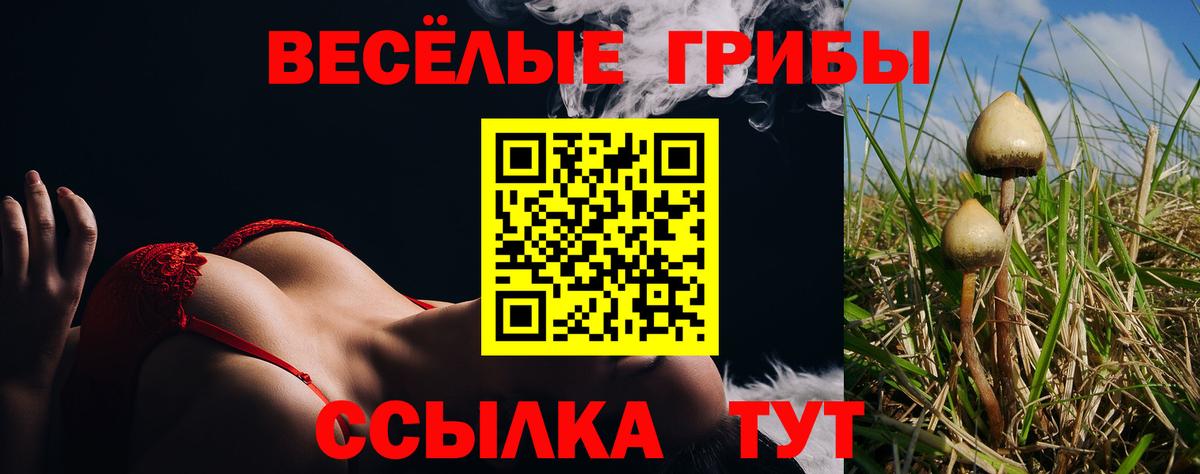 Галлюциногенные грибы Cubensis  Вход с VPN  купить наркотики сайты  Кимовск 