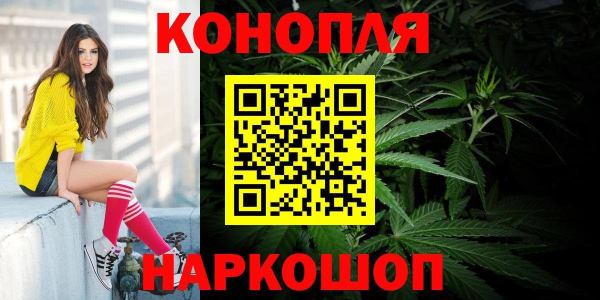 Бошки Шишки конопля  Вход с VPN  Кимовск  Канабис SATIVA & INDICA 